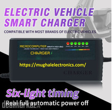 60V 5A 73V 20S Electric Bike Fast Charger for Lithium LifePo4 &amp