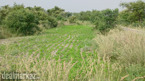 100 Kanals Agriculture Land for Sale with Water Dam in Lawa, Talagang