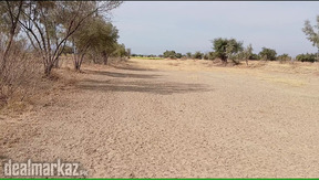 550 Kanals Agriculture Land for Sale in Chaki Sheikh Jee Lawa Talagang