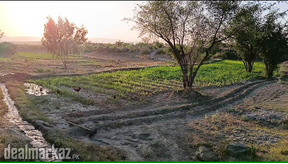 200 Kanals Agriculture Land for Sale in with Water Tank Lawa Talagang