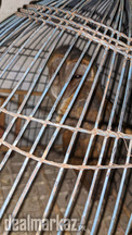 Golden owl for sale