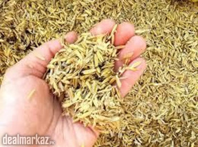Buy Rice Husk Online at Zarea Limited