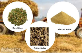 Agriculture Biomass Options at Zarea