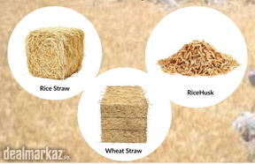 Agri Biomass Options at Zarea Limited