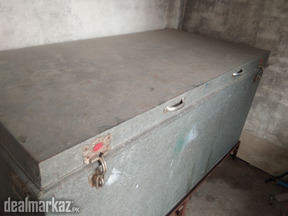 Patee trunk gisti