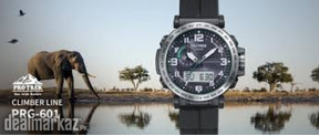 Casio Protrek Watches in Pakistan