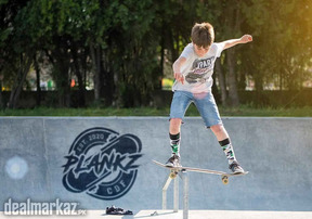PLANKZ 2020 Skateboard (Urgent)