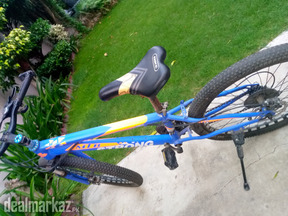 Imported MTB with original paint