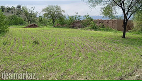 200 Kanals Agriculture Land for Sale in Lawa, Talagang with Govt Road