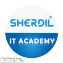 Sherdil IT Academy
