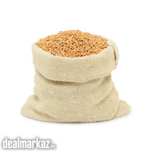 Wheat Avaliable at | ZAREA LIMITED |