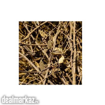 Cotton Stalks Available at | ZAREA |