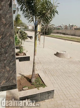 Rent for office & shops