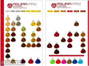 AGUIRA PRO HAIR COLOR 100 ML