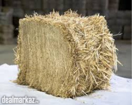 Wheat Straw | Purchase from Zarea Limited
