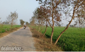Agri farm land for sale