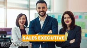 SALES EXECUTIVE
