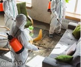 Pest Control and Fumigation Services