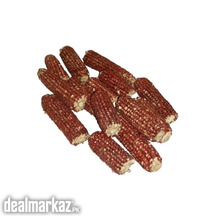 Corn Cob Red Buy Online on Zarea Limited