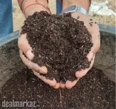 Azolla Compost / Dry Azolla Seeds