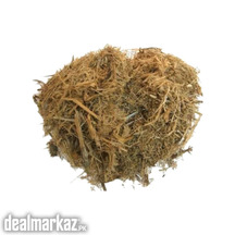 Buy Bagasse Online on Zarea
