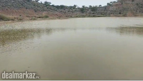 825 Kanals Land (2 Dams, 1 Extra Dam, Water Bore Storage Tank, House)