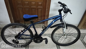 Japanese bicycle