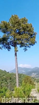 Lovely hill plot available