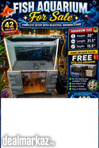 42 Gallons Fish Aquarium For SALE