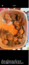 3 Gider Singhi 1 snake skin urgent sell
