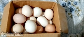 Desi eggs original organic