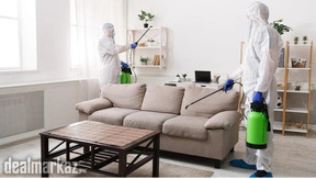 Pest Management By Karachi Fumigation Service