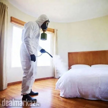 Bed Bugs Control Service