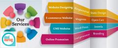Website Development - Professional - Web Design - Marketing