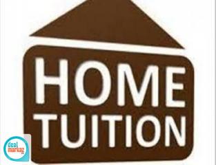 Play Group to Masters Male/female home tutors available